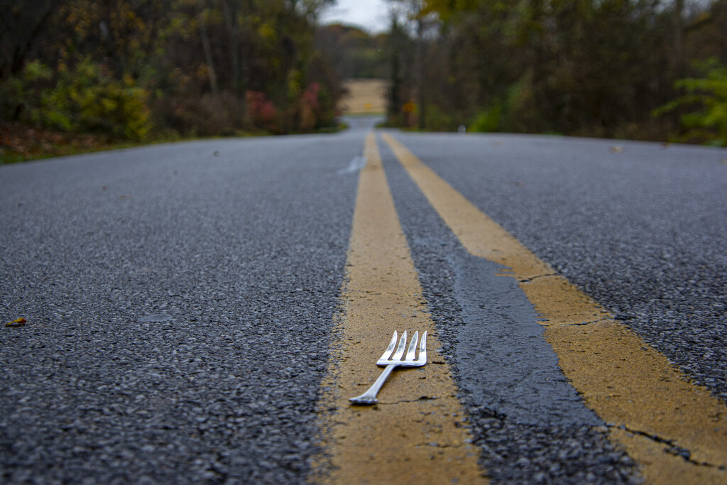 The Fork In The Road by cwbill