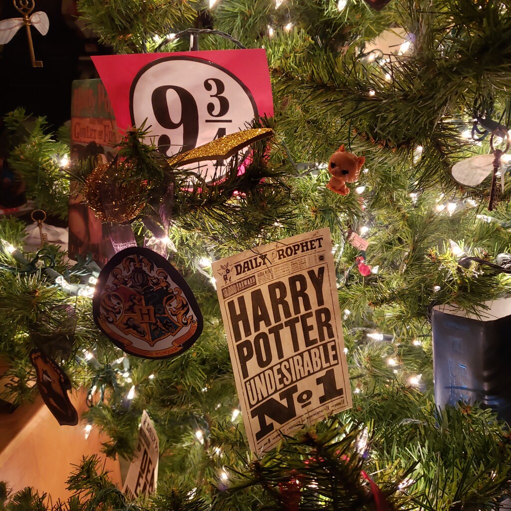 Harry Potter Tree  by mariaostrowski