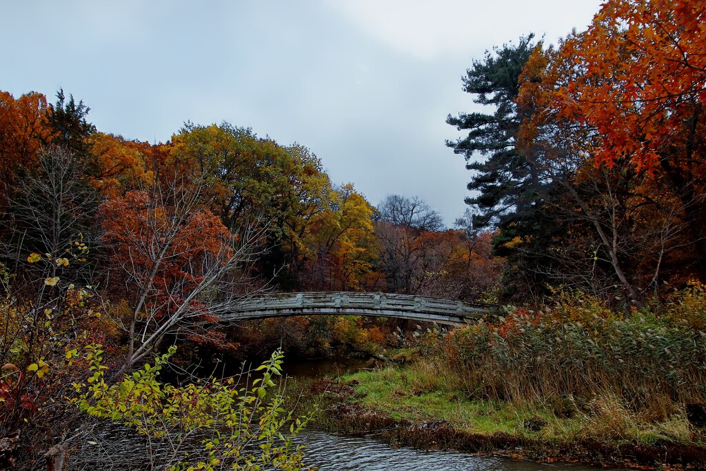 Wooden Bridge by randy23
