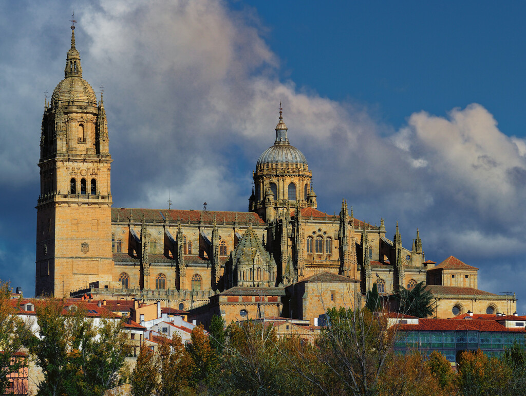 1113 - Salamanca Cathedral by bob65