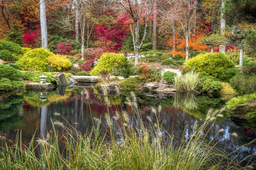 Japanese Garden by kvphoto