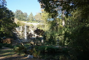 14th Nov 2021 - The Japanese Garden