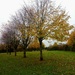 Autumn.. leaves falling by 365projectorgjoworboys