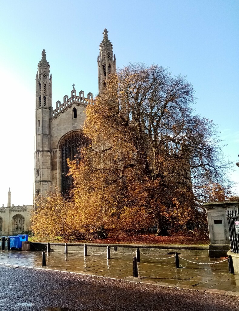King's College Chapel in Autumn by g3xbm
