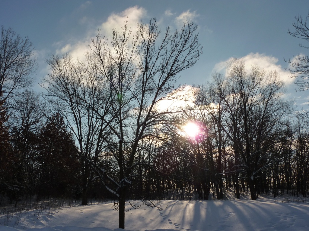 Winter sky by denisedaly