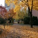 autumn 3> by zardz