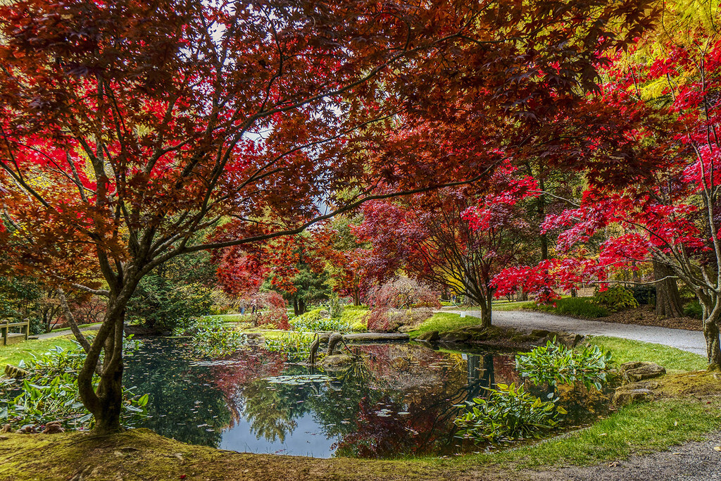 Autumn around the Pond by k9photo