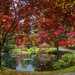 Autumn around the Pond by k9photo
