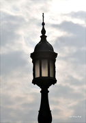 14th Nov 2021 - A street lamp