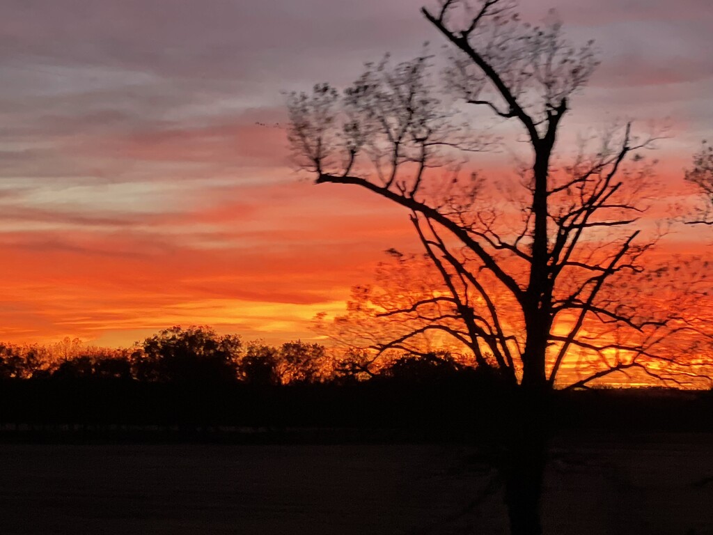 Oklahoma Sunset by dianefalconer