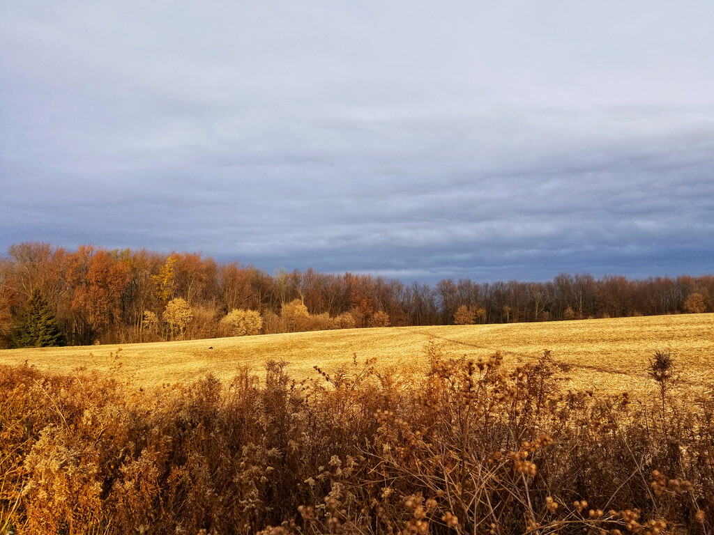 Late fall fields by ljmanning