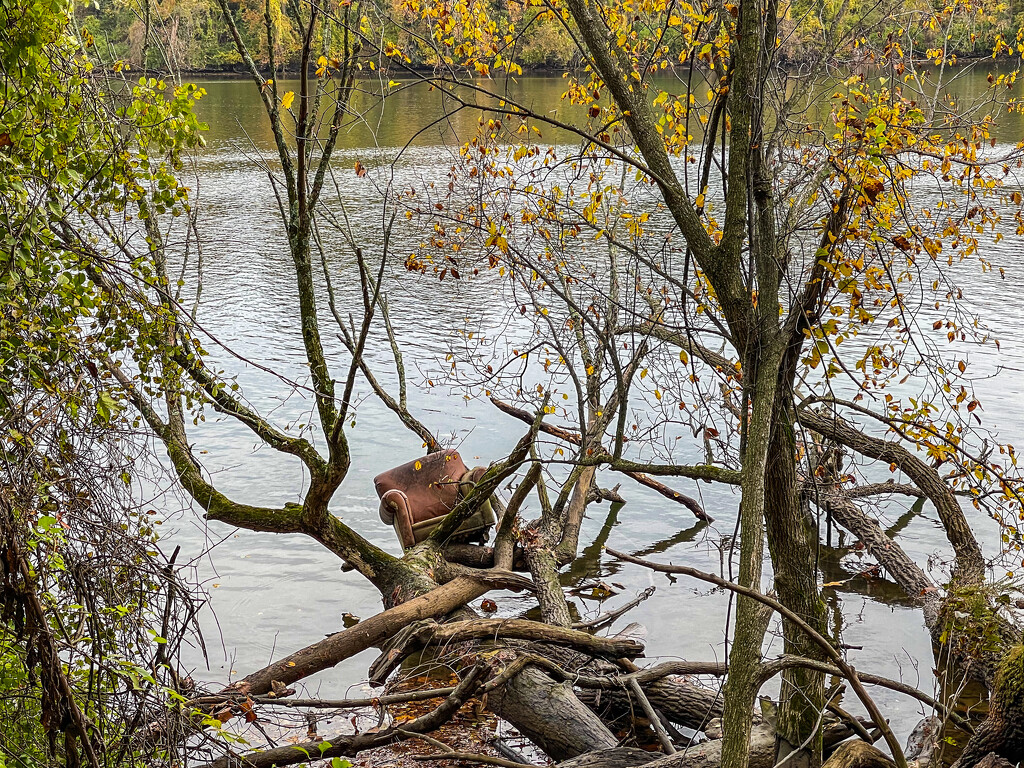 How Did this Chair get down to the Potomac River? by jbritt