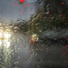Driving Rain by cdcook48