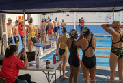 11th Nov 2021 - Swim meet - the last relay