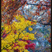 Still Autumn by hjbenson