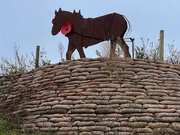 14th Nov 2021 - Canal Horse