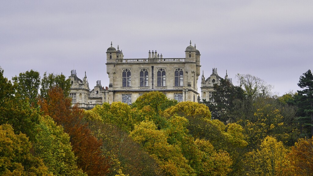 Autumn Colours At WOLLATON. ( Filler ) by tonygig