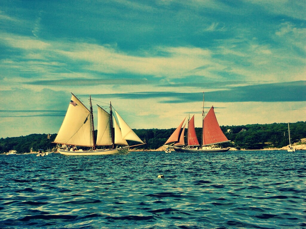 Tall Ships by stownsend