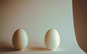15th Nov 2021 - One egg's an Oeuf (ICM)