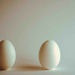 One egg's an Oeuf (ICM) by moonbi