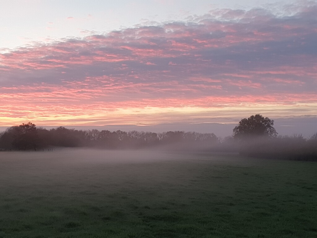 Mist Opportunity by shepherdman
