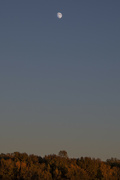 15th Nov 2021 - Sunset Moonrise