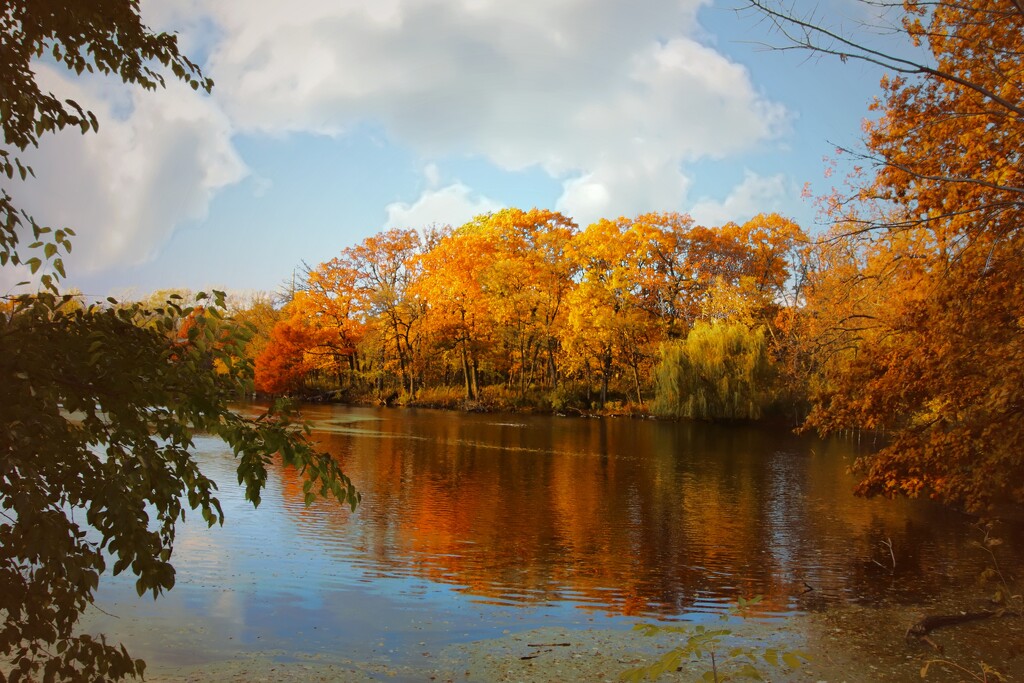 Fall Colors On The Pond by randy23