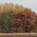 Autumn Panorama by rminer