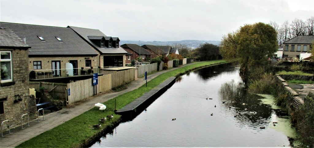 Our part of the Leeds Liverpool canal. by grace55