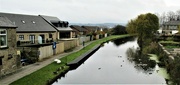 16th Nov 2021 - Our part of the Leeds Liverpool canal.