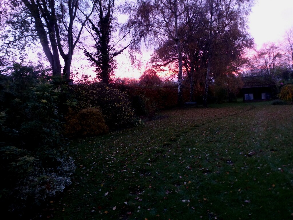 November sunset in the garden by snowy