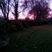 November sunset in the garden by snowy