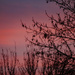 Sunset 11 2021 1 by larrysphotos