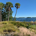 View of the Sarasota Bay by falcon11