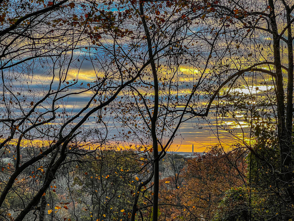 Washington Monument at Sunrise from Potomac Overlook by jbritt