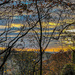 Washington Monument at Sunrise from Potomac Overlook by jbritt