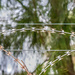Razor wire by ludwigsdiana