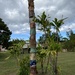 Clay Totem on Maui by clay88