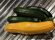16th Nov 2021 - First courgettes