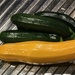 First courgettes by dide
