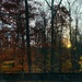 Sunrise through the Trees by njmom3