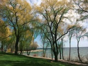 17th Nov 2021 - Trees by the lake
