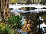18th Nov 2021 - The Long White Bridge at Magnolia Gardens