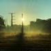 A Foggy Morning by njmom3