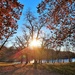 Fall Morning by lynnz