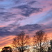 Purple Sunset by genealogygenie