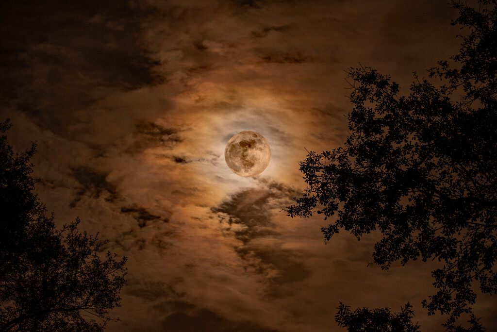 Moon and Clouds! by rickster549