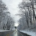snowy road by edorreandresen