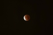 18th Nov 2021 - Partial lunar eclipse