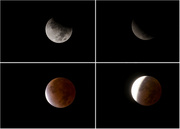 19th Nov 2021 - Beaver Moon Eclipse